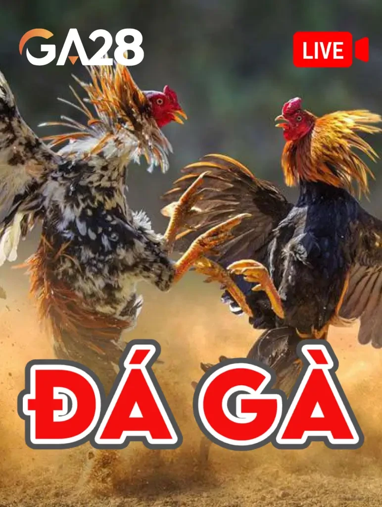 UK88 Đá Gà Livestream