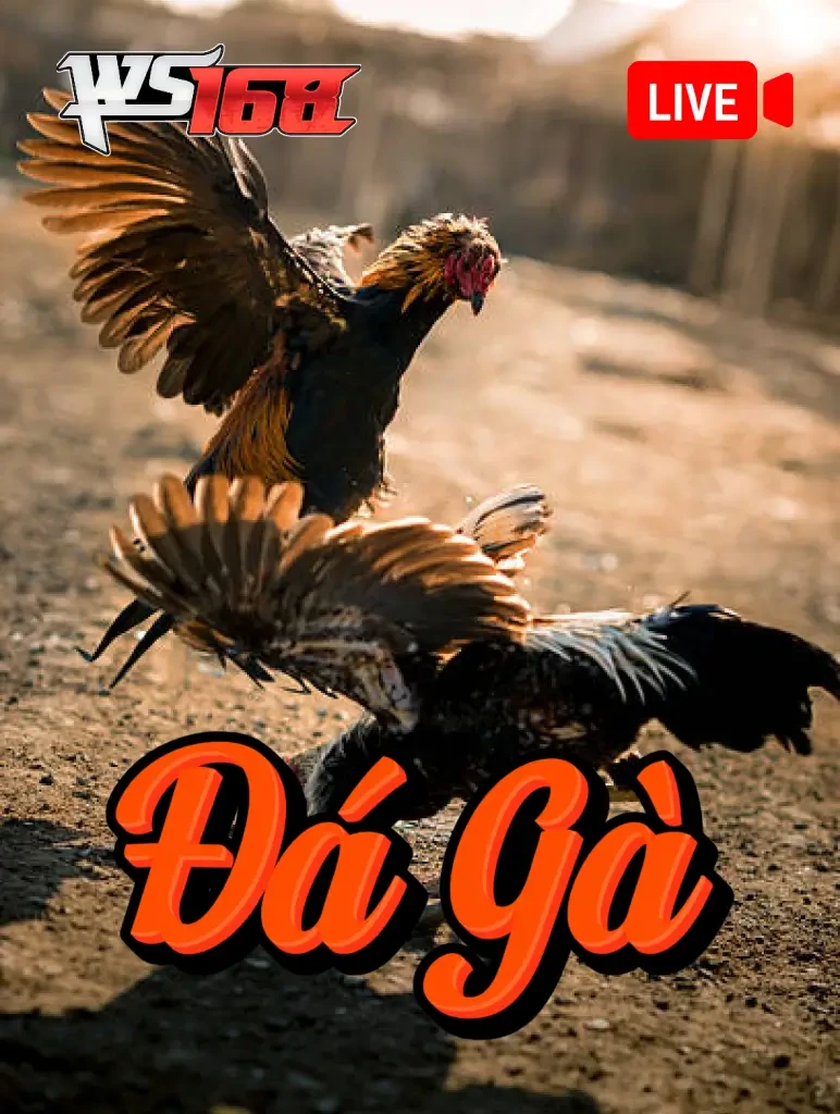 UK88 Đá Gà Livestream