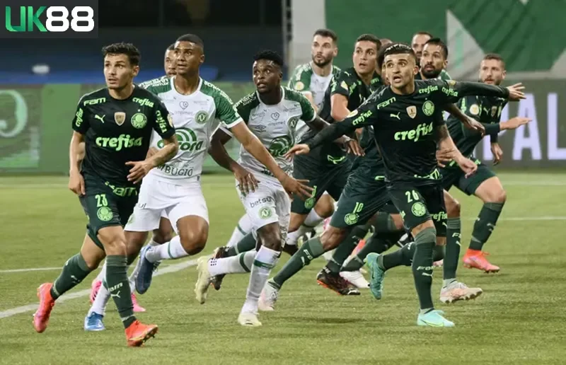 keo-nha-cai-palmeiras-sp-vs-chapecoense-uk88